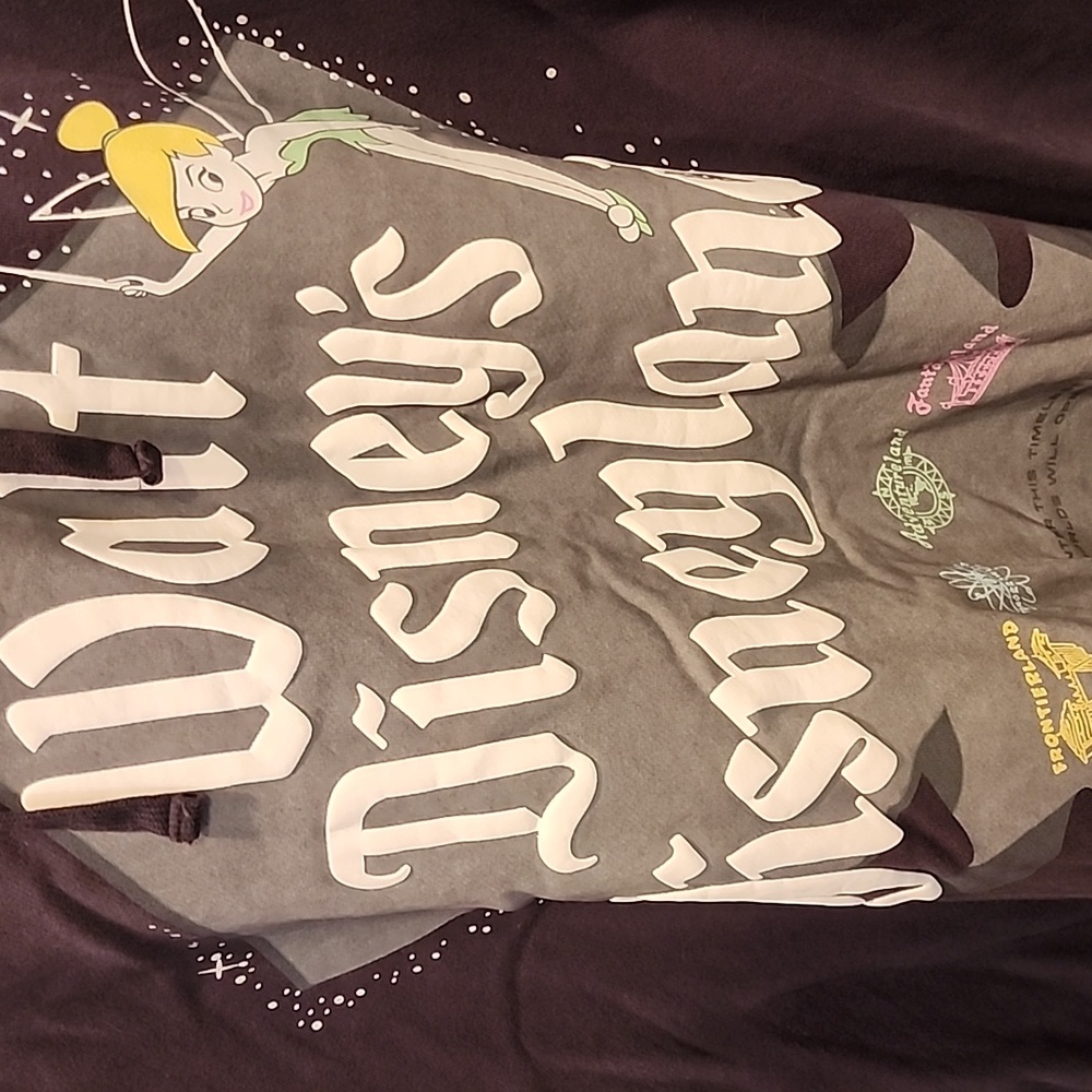 Disney 100 Gray Tinkerbell Pull Over Hoodie. 3X - Picture 2 of 5